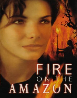 Fire on the Amazon