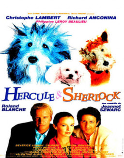 Hercule &amp; Sherlock