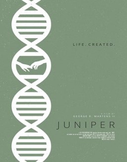 Juniper