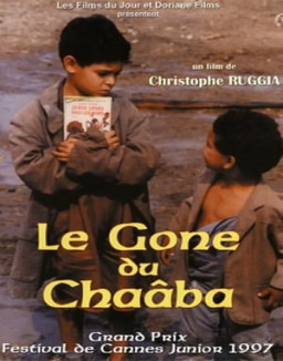 Le Gone du Chaâba